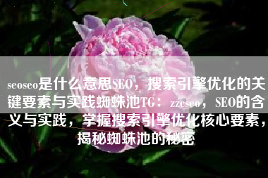 seoseo是什么意思SEO，搜索引擎优化的关键要素与实践蜘蛛池TG：zzcseo，SEO的含义与实践，掌握搜索引擎优化核心要素，揭秘蜘蛛池的秘密