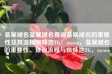 备案域名备案域名查询备案域名的重要性及其流程蜘蛛池TG：zzcseo，备案域名的重要性、查询流程与蜘蛛池TG，zzcseo