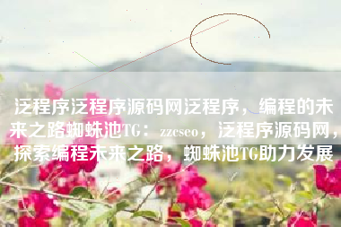 泛程序泛程序源码网泛程序，编程的未来之路蜘蛛池TG：zzcseo，泛程序源码网，探索编程未来之路，蜘蛛池TG助力发展