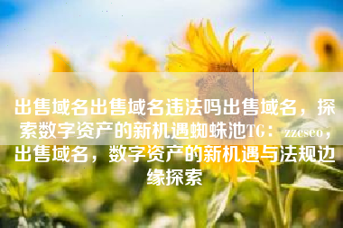 出售域名出售域名违法吗出售域名，探索数字资产的新机遇蜘蛛池TG：zzcseo，出售域名，数字资产的新机遇与法规边缘探索