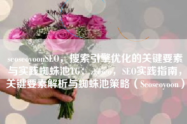 seoseoyoonSEO，搜索引擎优化的关键要素与实践蜘蛛池TG：zzcseo，SEO实践指南，关键要素解析与蜘蛛池策略（Seoseoyoon）