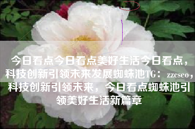 今日看点今日看点美好生活今日看点，科技创新引领未来发展蜘蛛池TG：zzcseo，科技创新引领未来，今日看点蜘蛛池引领美好生活新篇章