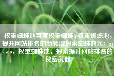 权重蜘蛛池百度权重蜘蛛ip权重蜘蛛池，提升网站排名的新领域探索蜘蛛池TG：zzcseo，权重蜘蛛池，探索提升网站排名的秘密武器