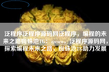 泛程序泛程序源码网泛程序，编程的未来之路蜘蛛池TG：zzcseo，泛程序源码网，探索编程未来之路，蜘蛛池TG助力发展