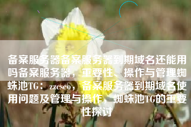 备案服务器备案服务器到期域名还能用吗备案服务器，重要性、操作与管理蜘蛛池TG：zzcseo，备案服务器到期域名使用问题及管理与操作，蜘蛛池TG的重要性探讨