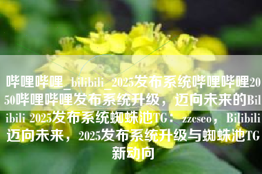 哔哩哔哩_bilibili_2025发布系统哔哩哔哩2050哔哩哔哩发布系统升级，迈向未来的Bilibili 2025发布系统蜘蛛池TG：zzcseo，Bilibili迈向未来，2025发布系统升级与蜘蛛池TG新动向