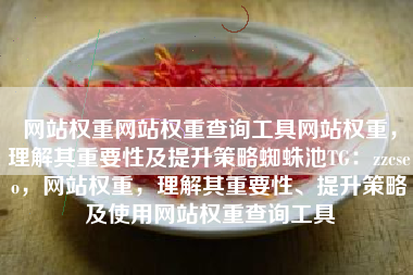 网站权重网站权重查询工具网站权重，理解其重要性及提升策略蜘蛛池TG：zzcseo，网站权重，理解其重要性、提升策略及使用网站权重查询工具