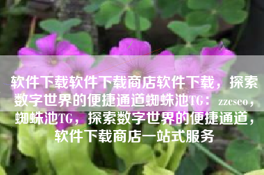 软件下载软件下载商店软件下载，探索数字世界的便捷通道蜘蛛池TG：zzcseo，蜘蛛池TG，探索数字世界的便捷通道，软件下载商店一站式服务