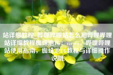 站详细教程_哔哩哔哩站怎么用哔哩哔哩站详细教程蜘蛛池TG：zzcseo，哔哩哔哩站使用指南，蜘蛛池TG教程与详细操作说明