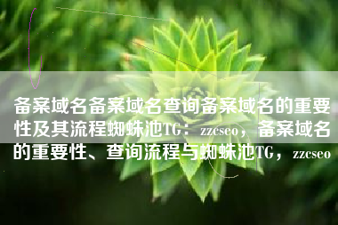 备案域名备案域名查询备案域名的重要性及其流程蜘蛛池TG：zzcseo，备案域名的重要性、查询流程与蜘蛛池TG，zzcseo