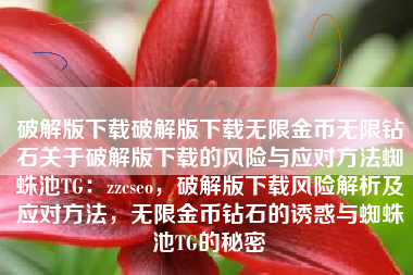 破解版下载破解版下载无限金币无限钻石关于破解版下载的风险与应对方法蜘蛛池TG：zzcseo，破解版下载风险解析及应对方法，无限金币钻石的诱惑与蜘蛛池TG的秘密