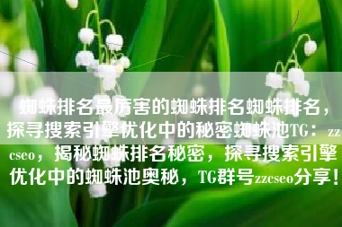 蜘蛛排名最厉害的蜘蛛排名蜘蛛排名，探寻搜索引擎优化中的秘密蜘蛛池TG：zzcseo，揭秘蜘蛛排名秘密，探寻搜索引擎优化中的蜘蛛池奥秘，TG群号zzcseo分享！