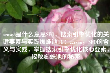 seoseo是什么意思SEO，搜索引擎优化的关键要素与实践蜘蛛池TG：zzcseo，SEO的含义与实践，掌握搜索引擎优化核心要素，揭秘蜘蛛池的秘密