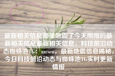最新相关信息哪里地震了今天刚刚的最新相关信息最新相关信息，科技前沿动态蜘蛛池TG：zzcseo，最新地震信息揭秘，今日科技前沿动态与蜘蛛池TG实时更新情报