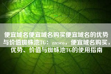 便宜域名便宜域名购买便宜域名的优势与价值蜘蛛池TG：zzcseo，便宜域名购买，优势、价值与蜘蛛池TG的使用指南