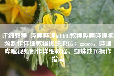 详细教程_哔哩哔哩bilibili教程哔哩哔哩视频制作详细教程蜘蛛池TG：zzcseo，哔哩哔哩视频制作详细教程，蜘蛛池TG操作指南