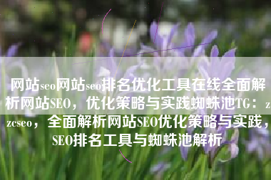 网站seo网站seo排名优化工具在线全面解析网站SEO，优化策略与实践蜘蛛池TG：zzcseo，全面解析网站SEO优化策略与实践，SEO排名工具与蜘蛛池解析