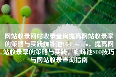 网站收录网站收录查询提高网站收录率的策略与实践蜘蛛池TG：zzcseo，提高网站收录率的策略与实践，蜘蛛池SEO技巧与网站收录查询指南