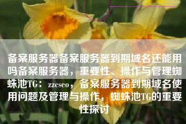 备案服务器备案服务器到期域名还能用吗备案服务器，重要性、操作与管理蜘蛛池TG：zzcseo，备案服务器到期域名使用问题及管理与操作，蜘蛛池TG的重要性探讨