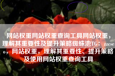 网站权重网站权重查询工具网站权重，理解其重要性及提升策略蜘蛛池TG：zzcseo，网站权重，理解其重要性、提升策略及使用网站权重查询工具