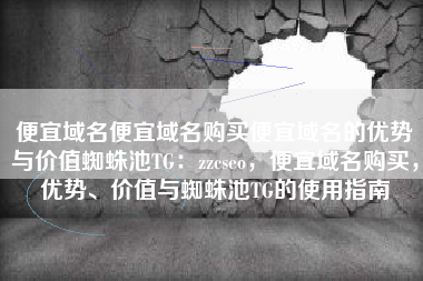 便宜域名便宜域名购买便宜域名的优势与价值蜘蛛池TG：zzcseo，便宜域名购买，优势、价值与蜘蛛池TG的使用指南