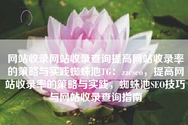 网站收录网站收录查询提高网站收录率的策略与实践蜘蛛池TG：zzcseo，提高网站收录率的策略与实践，蜘蛛池SEO技巧与网站收录查询指南