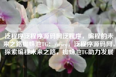 泛程序泛程序源码网泛程序，编程的未来之路蜘蛛池TG：zzcseo，泛程序源码网，探索编程未来之路，蜘蛛池TG助力发展