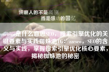 seoseo是什么意思SEO，搜索引擎优化的关键要素与实践蜘蛛池TG：zzcseo，SEO的含义与实践，掌握搜索引擎优化核心要素，揭秘蜘蛛池的秘密