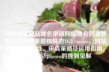 网站域名网站域名申请网站域名的重要性及其运用策略蜘蛛池TG：zzcseo，网站域名的重要性、申请策略及运用指南，蜘蛛池TG与zzcseo的独到见解