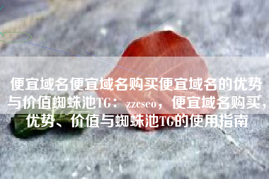 便宜域名便宜域名购买便宜域名的优势与价值蜘蛛池TG：zzcseo，便宜域名购买，优势、价值与蜘蛛池TG的使用指南