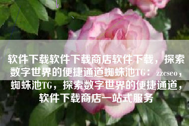 软件下载软件下载商店软件下载，探索数字世界的便捷通道蜘蛛池TG：zzcseo，蜘蛛池TG，探索数字世界的便捷通道，软件下载商店一站式服务