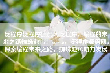 泛程序泛程序源码网泛程序，编程的未来之路蜘蛛池TG：zzcseo，泛程序源码网，探索编程未来之路，蜘蛛池TG助力发展
