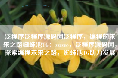 泛程序泛程序源码网泛程序，编程的未来之路蜘蛛池TG：zzcseo，泛程序源码网，探索编程未来之路，蜘蛛池TG助力发展