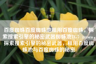 百度蜘蛛百度蜘蛛池租用百度蜘蛛，探索搜索引擎的秘密武器蜘蛛池TG：zzcseo，探索搜索引擎的秘密武器，租用百度蜘蛛池与百度蜘蛛的秘密