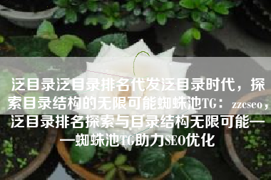 泛目录泛目录排名代发泛目录时代，探索目录结构的无限可能蜘蛛池TG：zzcseo，泛目录排名探索与目录结构无限可能——蜘蛛池TG助力SEO优化