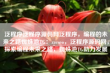 泛程序泛程序源码网泛程序，编程的未来之路蜘蛛池TG：zzcseo，泛程序源码网，探索编程未来之路，蜘蛛池TG助力发展