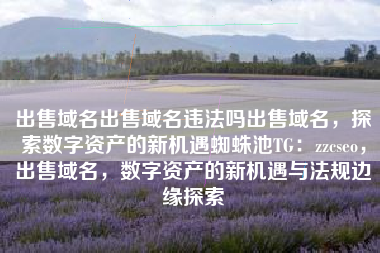 出售域名出售域名违法吗出售域名，探索数字资产的新机遇蜘蛛池TG：zzcseo，出售域名，数字资产的新机遇与法规边缘探索