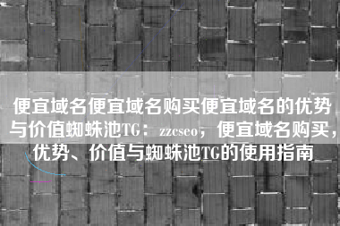便宜域名便宜域名购买便宜域名的优势与价值蜘蛛池TG：zzcseo，便宜域名购买，优势、价值与蜘蛛池TG的使用指南