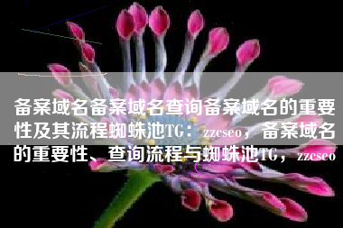 备案域名备案域名查询备案域名的重要性及其流程蜘蛛池TG：zzcseo，备案域名的重要性、查询流程与蜘蛛池TG，zzcseo