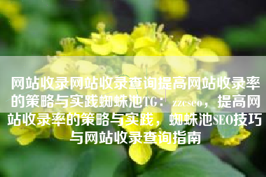 网站收录网站收录查询提高网站收录率的策略与实践蜘蛛池TG：zzcseo，提高网站收录率的策略与实践，蜘蛛池SEO技巧与网站收录查询指南