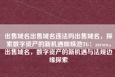 出售域名出售域名违法吗出售域名，探索数字资产的新机遇蜘蛛池TG：zzcseo，出售域名，数字资产的新机遇与法规边缘探索