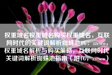 权重域名权重域名购买权重域名，互联网时代的关键词解析蜘蛛池TG：zzcseo，权重域名解析与购买策略，互联网时代关键词解析蜘蛛池指南（附TG，zzcseo）