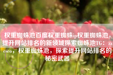 权重蜘蛛池百度权重蜘蛛ip权重蜘蛛池，提升网站排名的新领域探索蜘蛛池TG：zzcseo，权重蜘蛛池，探索提升网站排名的秘密武器