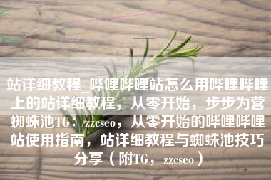 站详细教程_哔哩哔哩站怎么用哔哩哔哩上的站详细教程，从零开始，步步为营蜘蛛池TG：zzcseo，从零开始的哔哩哔哩站使用指南，站详细教程与蜘蛛池技巧分享（附TG，zzcseo）