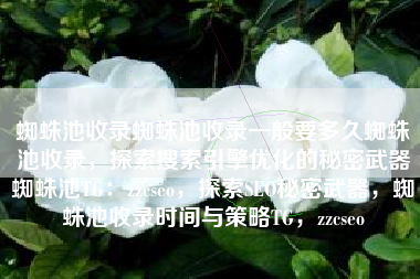 蜘蛛池收录蜘蛛池收录一般要多久蜘蛛池收录，探索搜索引擎优化的秘密武器蜘蛛池TG：zzcseo，探索SEO秘密武器，蜘蛛池收录时间与策略TG，zzcseo