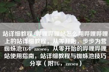 站详细教程_哔哩哔哩站怎么用哔哩哔哩上的站详细教程，从零开始，步步为营蜘蛛池TG：zzcseo，从零开始的哔哩哔哩站使用指南，站详细教程与蜘蛛池技巧分享（附TG，zzcseo）