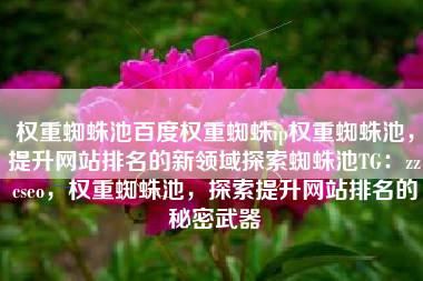 权重蜘蛛池百度权重蜘蛛ip权重蜘蛛池，提升网站排名的新领域探索蜘蛛池TG：zzcseo，权重蜘蛛池，探索提升网站排名的秘密武器