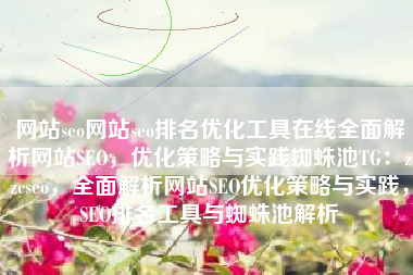 网站seo网站seo排名优化工具在线全面解析网站SEO，优化策略与实践蜘蛛池TG：zzcseo，全面解析网站SEO优化策略与实践，SEO排名工具与蜘蛛池解析