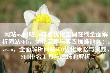 网站seo网站seo排名优化工具在线全面解析网站SEO，优化策略与实践蜘蛛池TG：zzcseo，全面解析网站SEO优化策略与实践，SEO排名工具与蜘蛛池解析