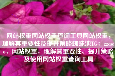网站权重网站权重查询工具网站权重，理解其重要性及提升策略蜘蛛池TG：zzcseo，网站权重，理解其重要性、提升策略及使用网站权重查询工具